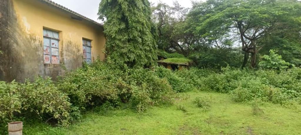 Property Photos 18