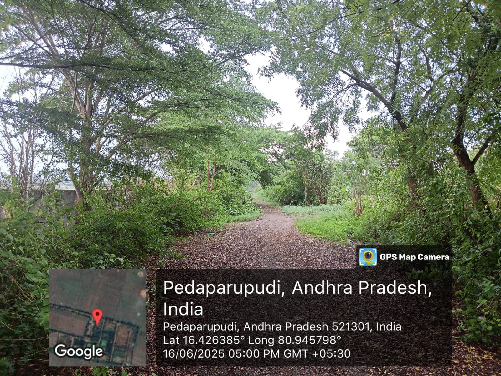 Property Photos 5