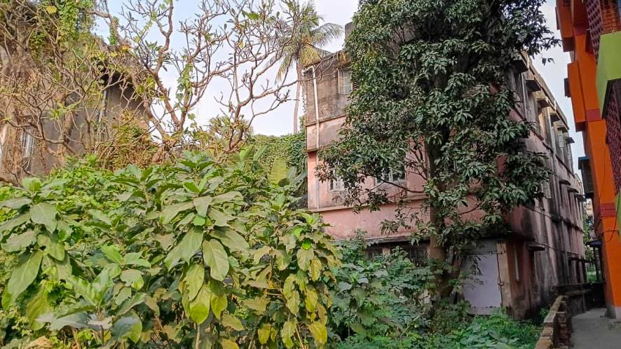 Property Photos 3