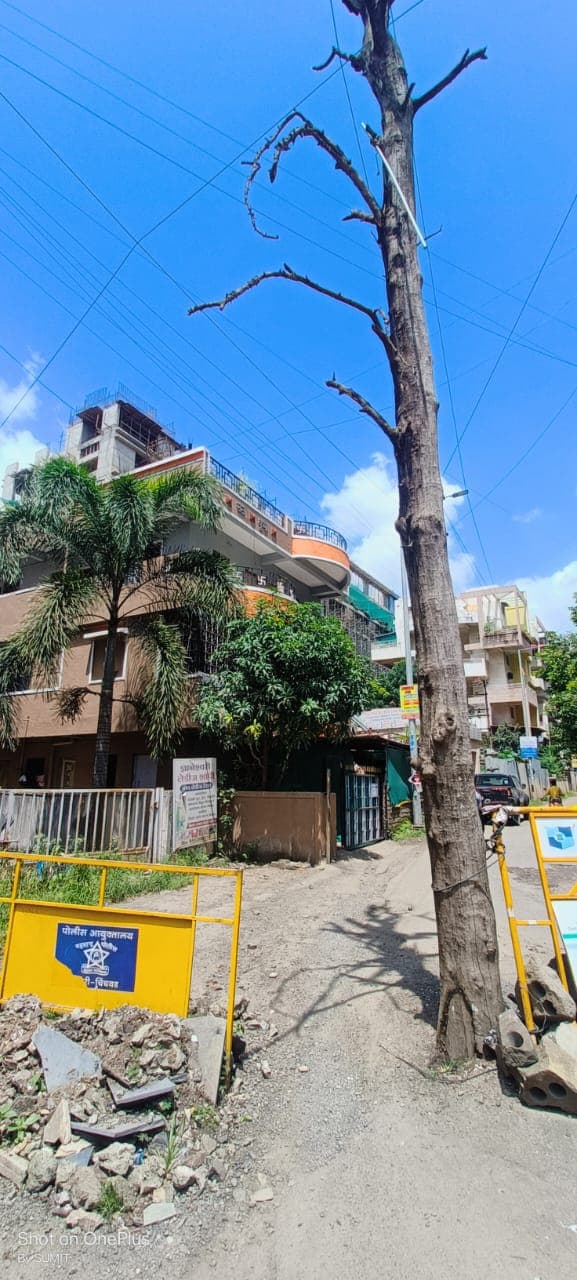 Property Photos 5