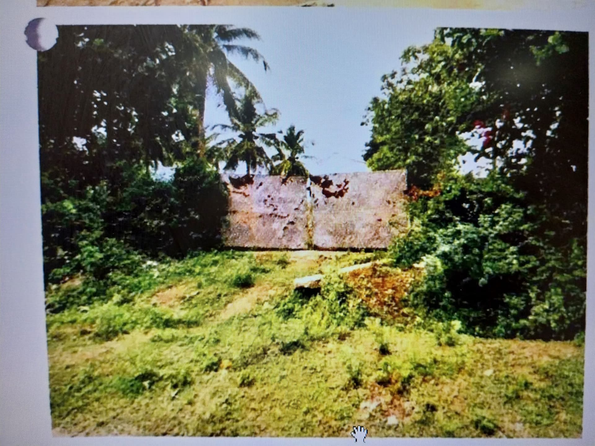 Property Photos 4