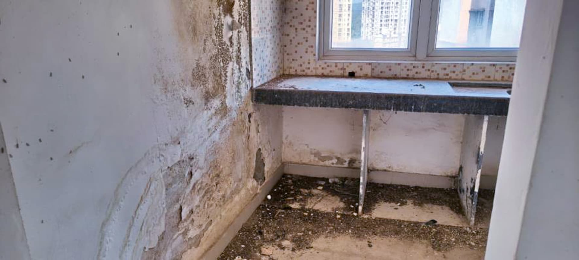 Property Photos 6