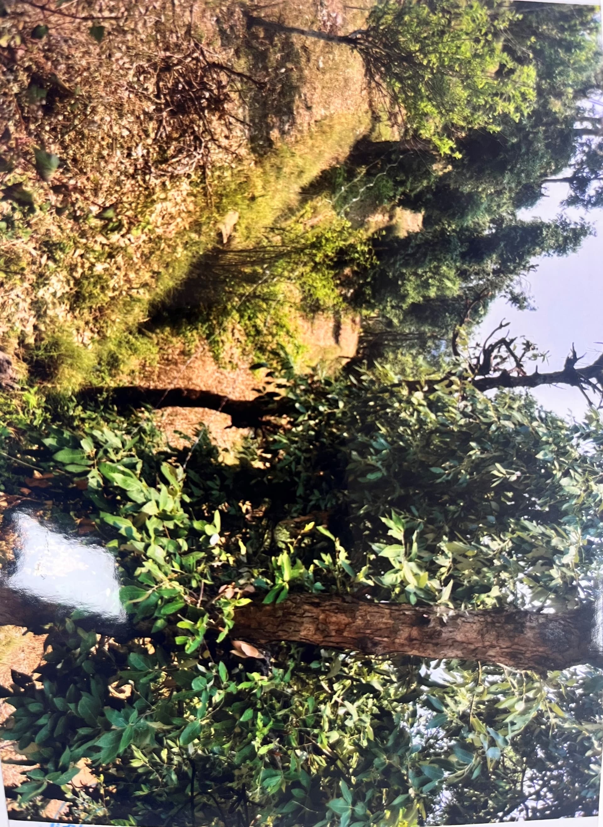 Property Photos 4