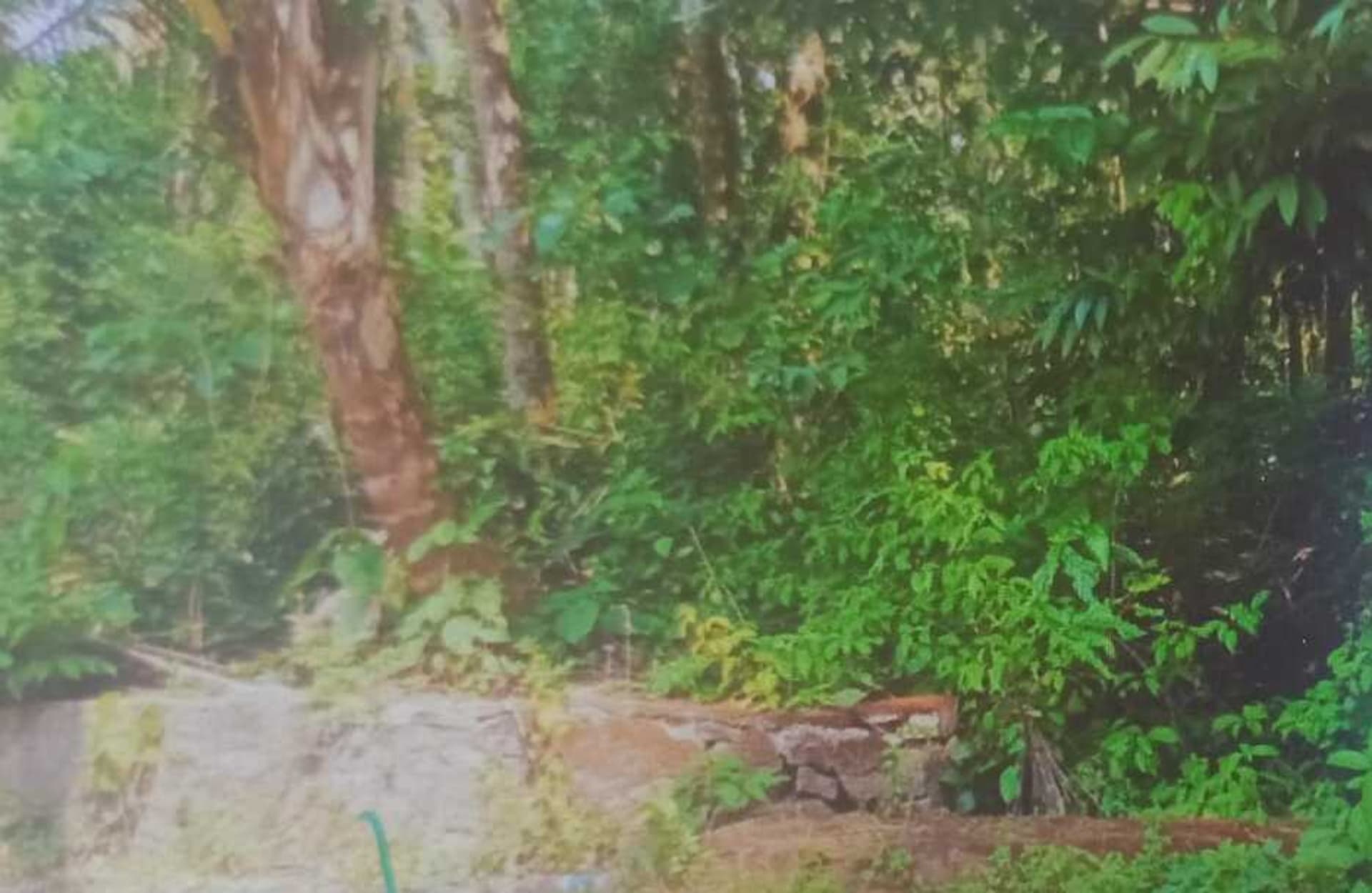 Property Photos 5