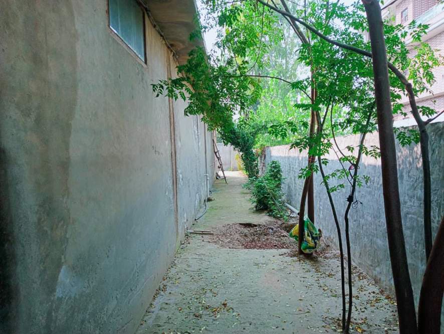 Property Photos 18