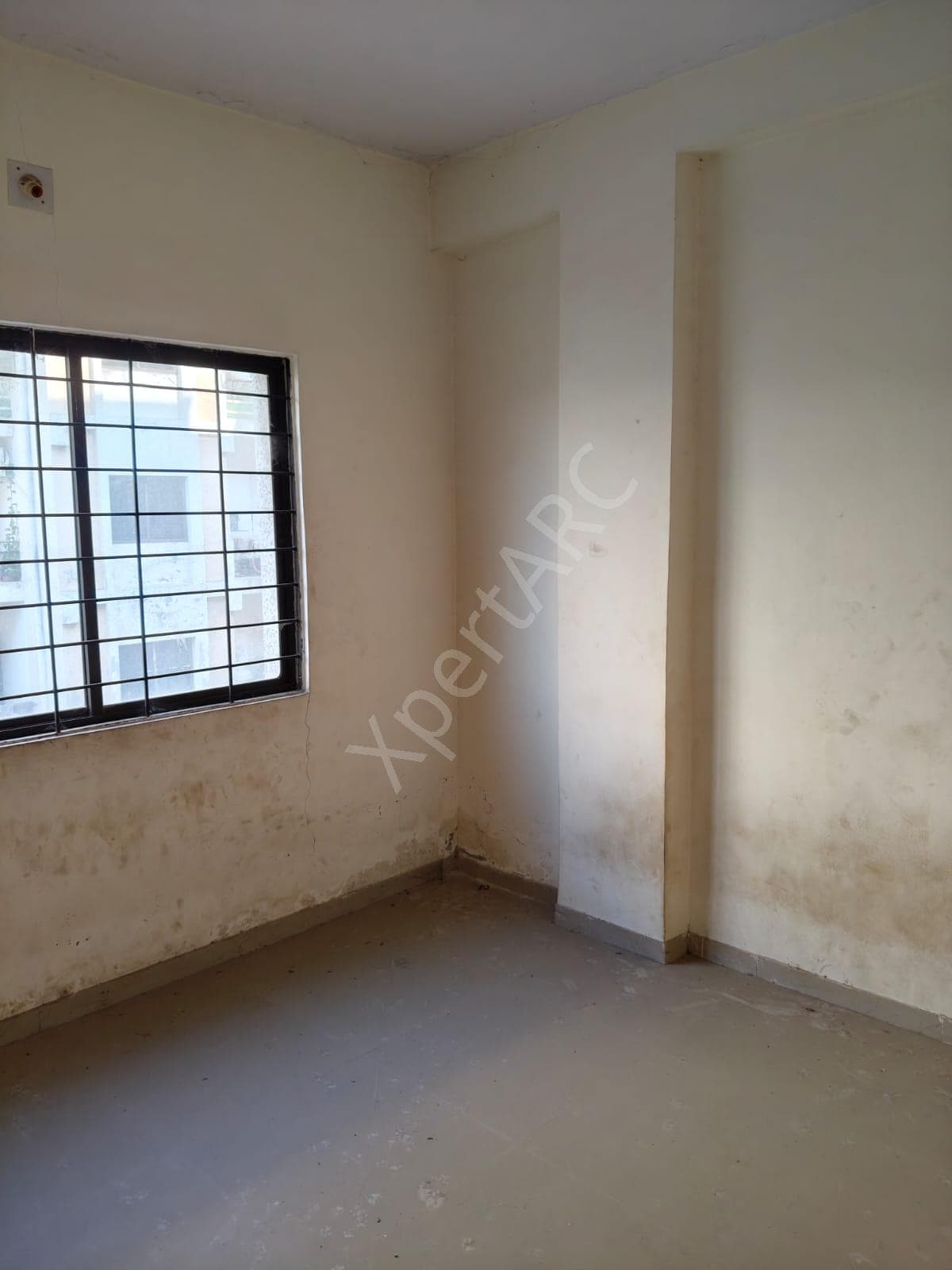 Property Photos 19
