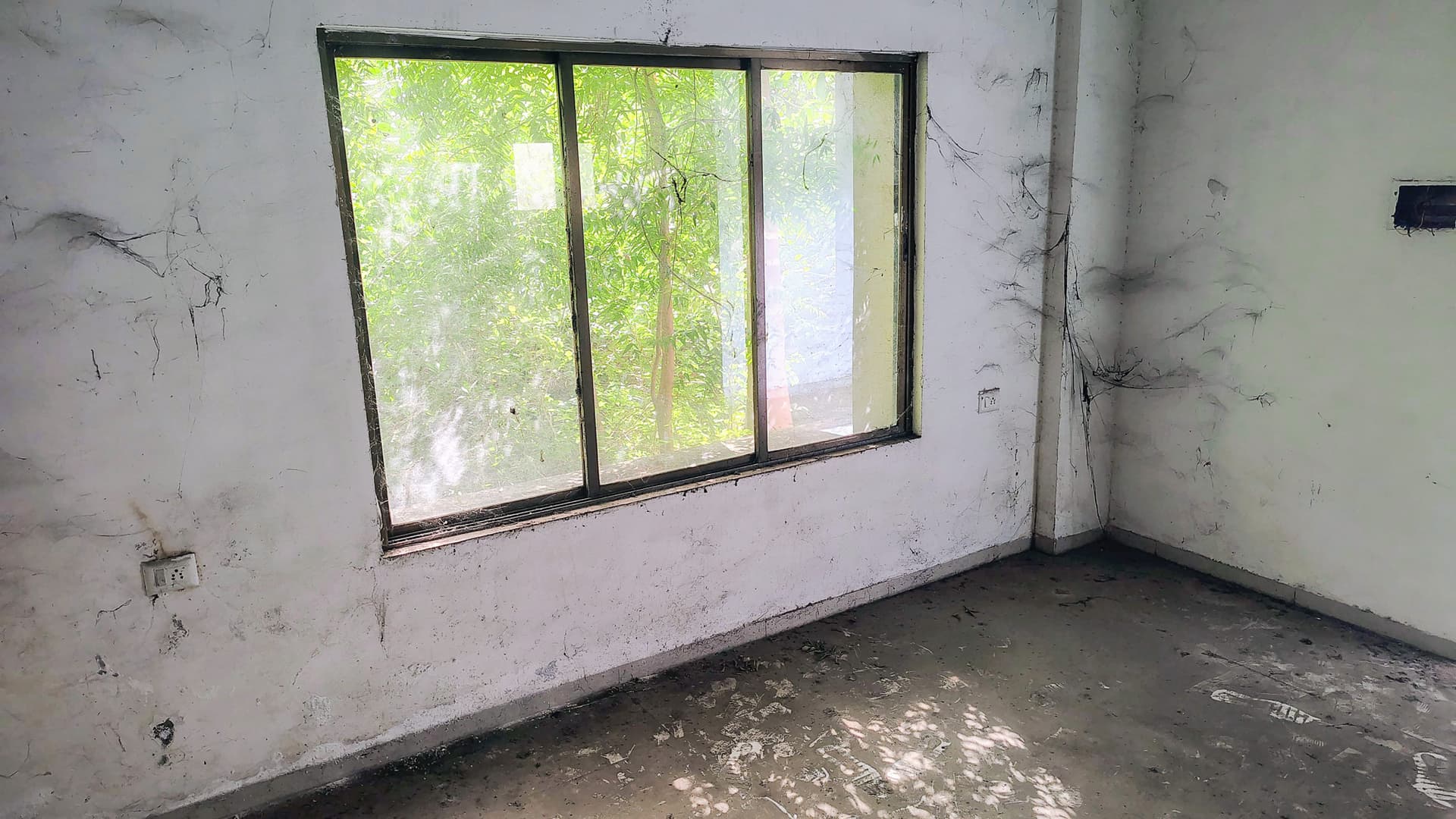 Property Photos 2