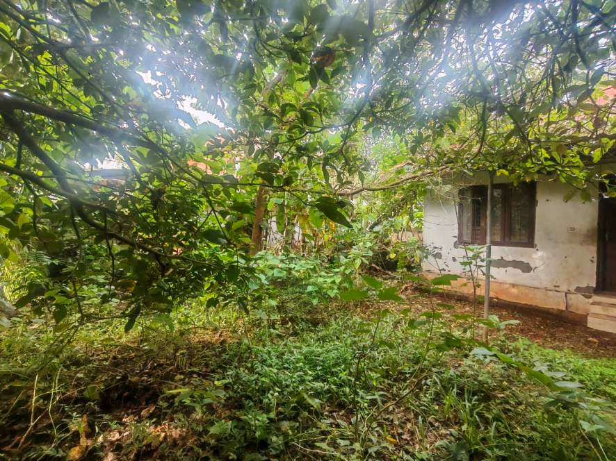 Property Photos 59
