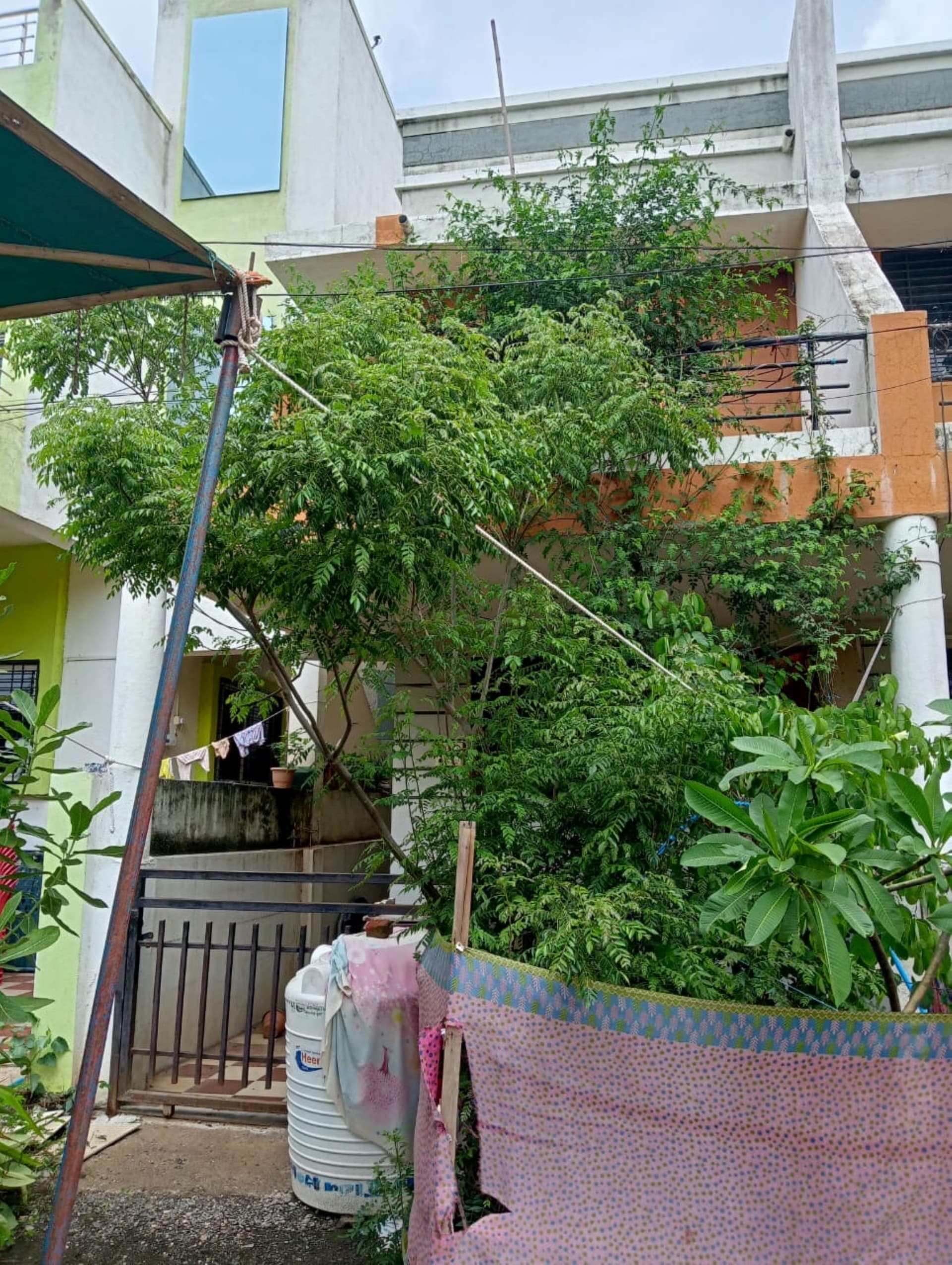 Property Photos 2