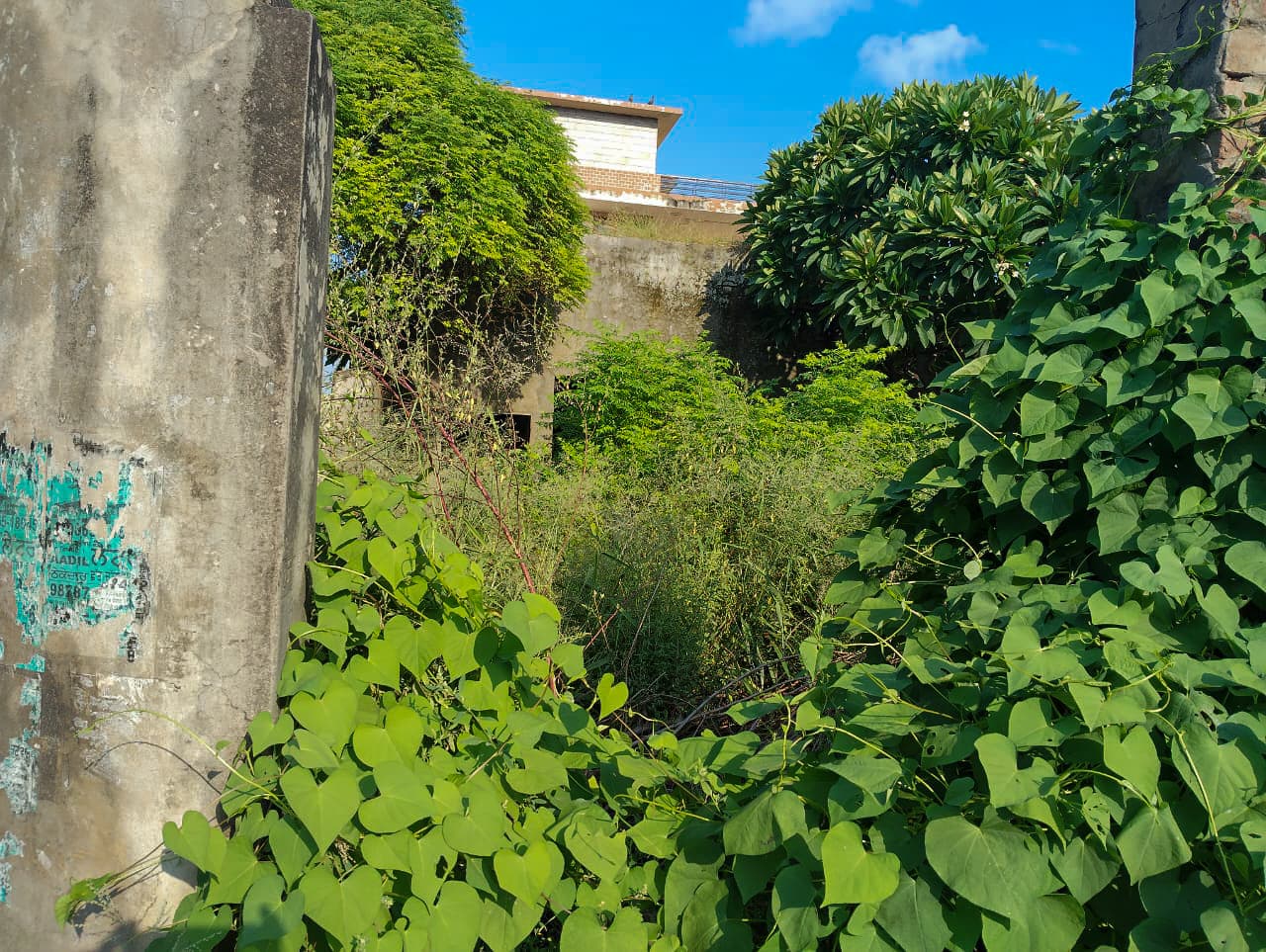 Property Photos 25