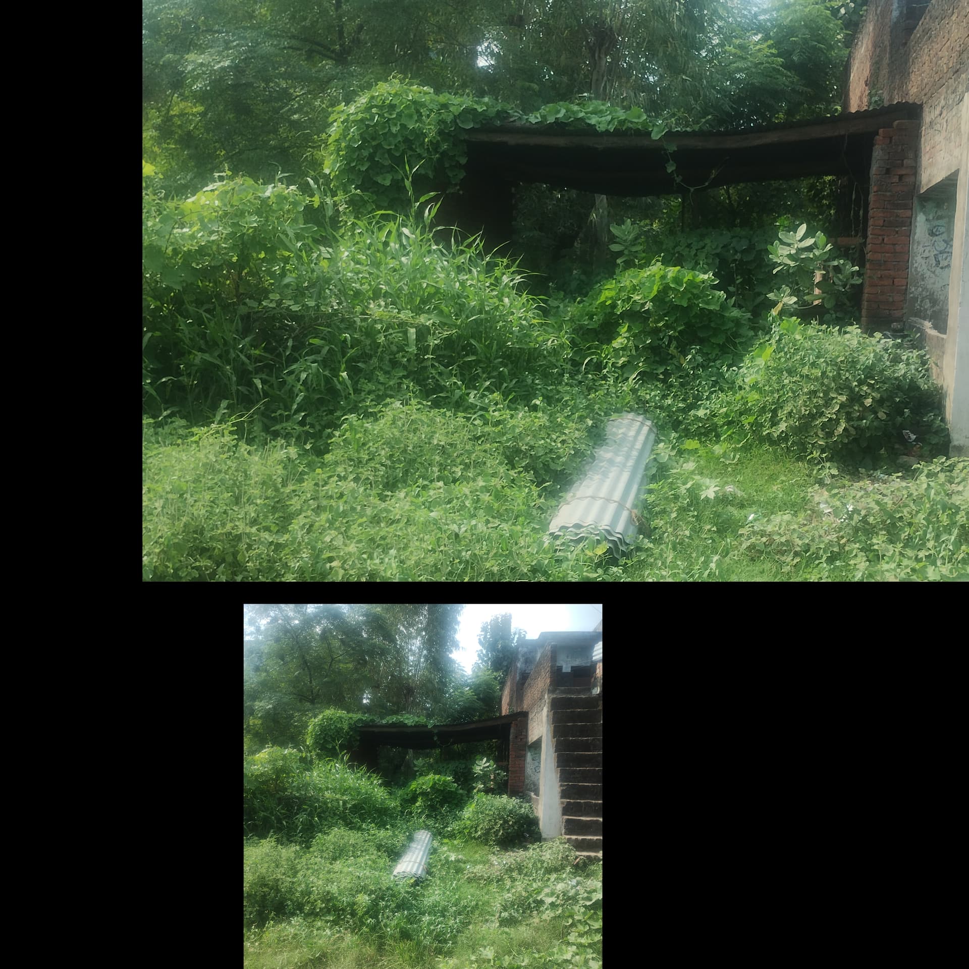 Property Photos 4