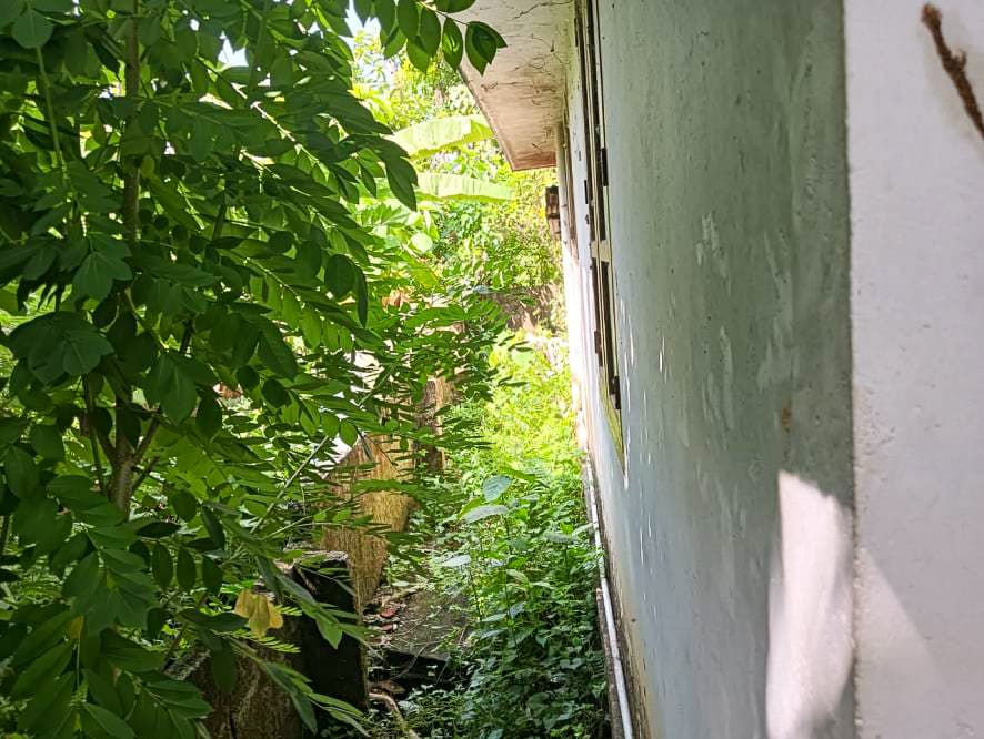 Property Photos 11