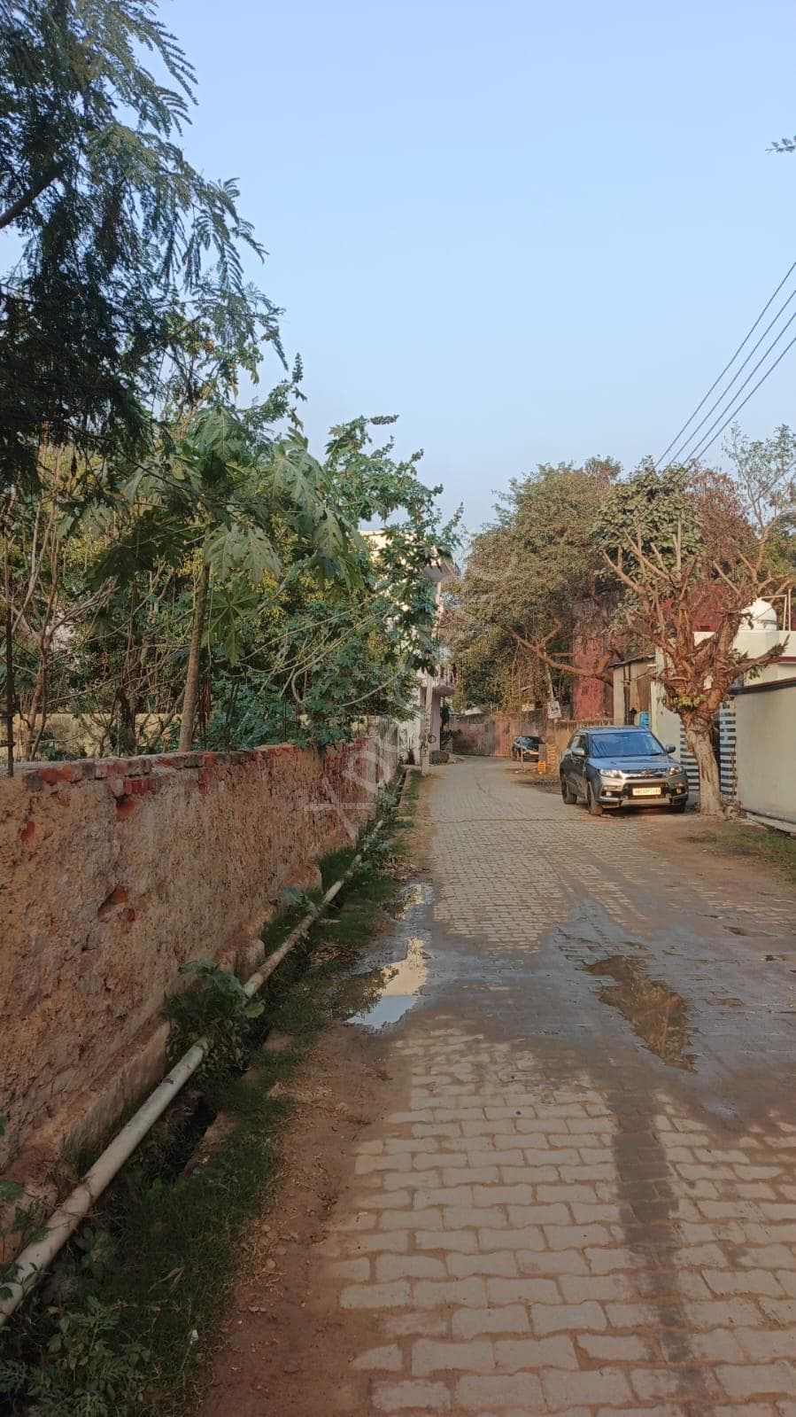 Property Photos 4