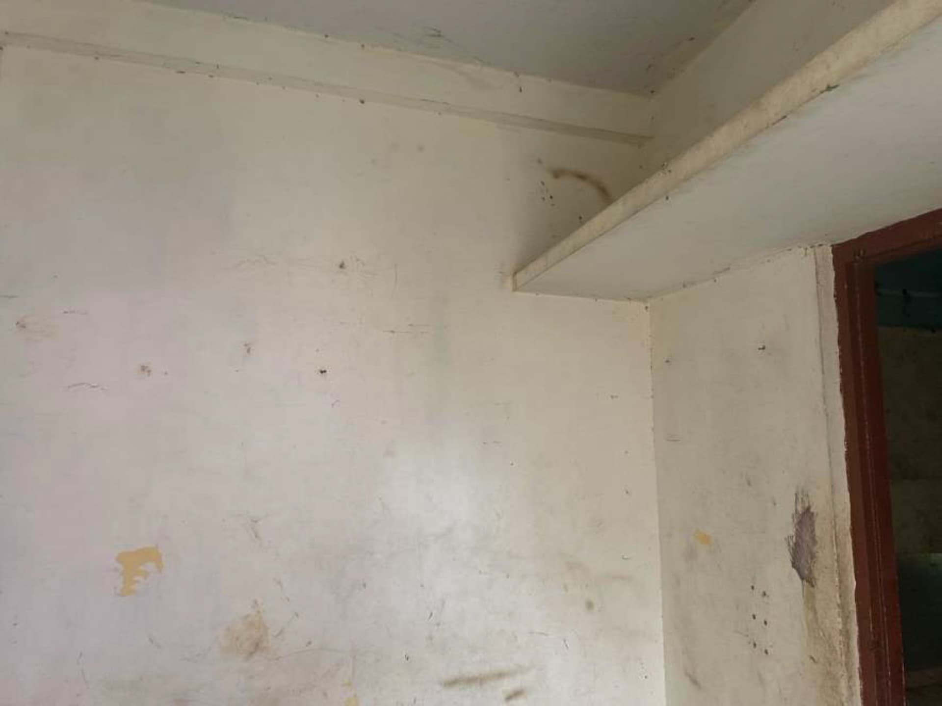 Property Photos 4