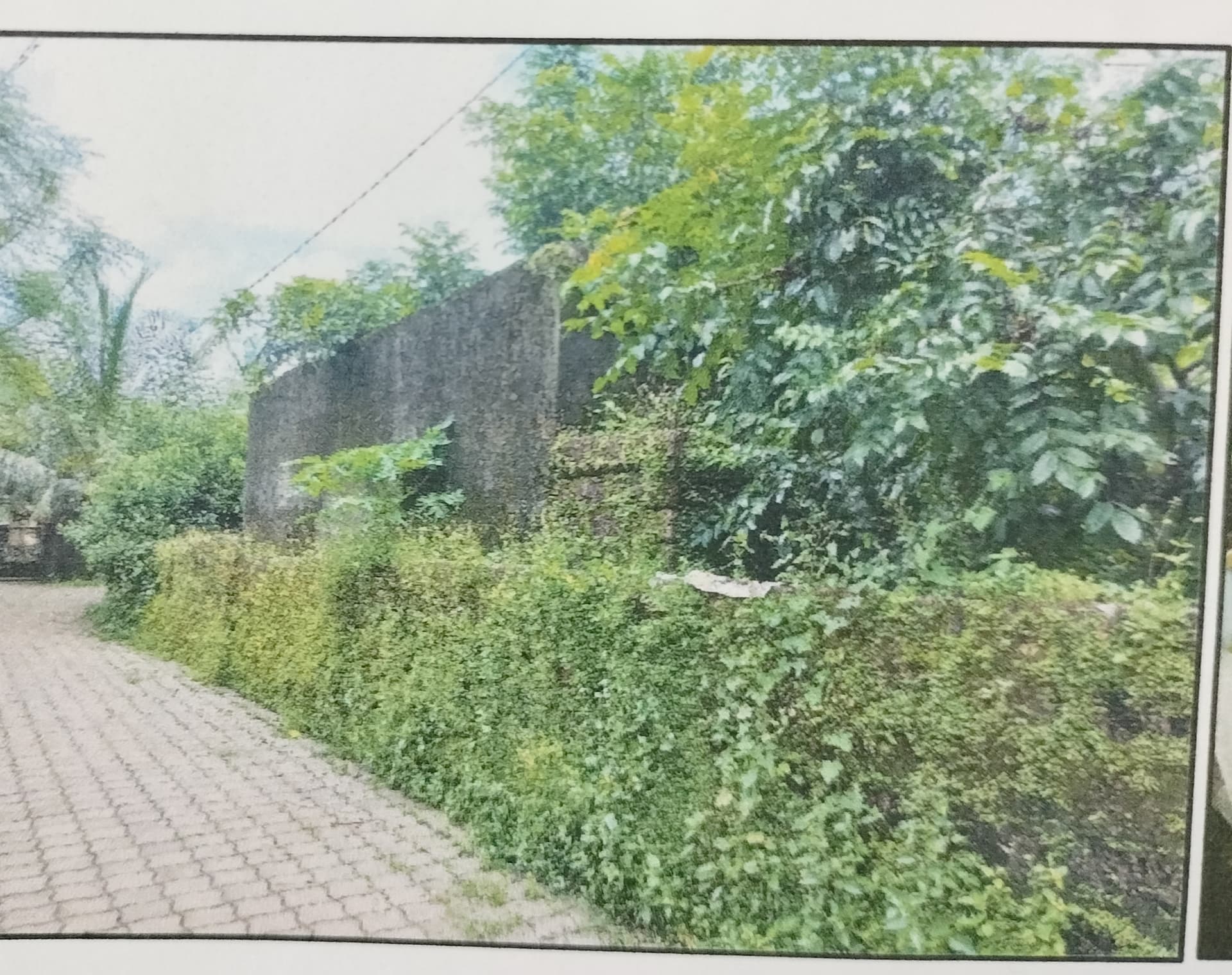 Property Photos 2
