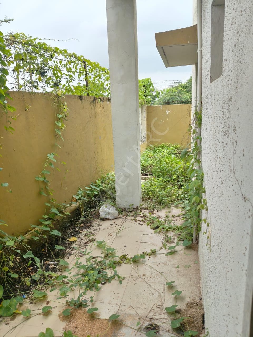 Property Photos 8