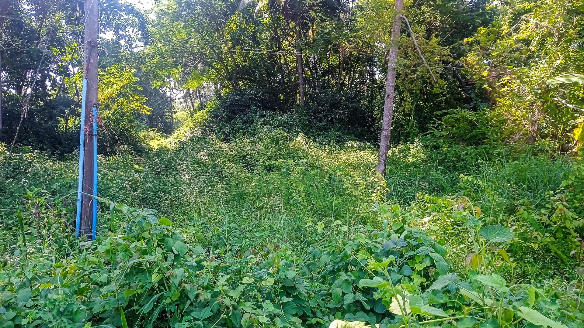 Property Photos 3