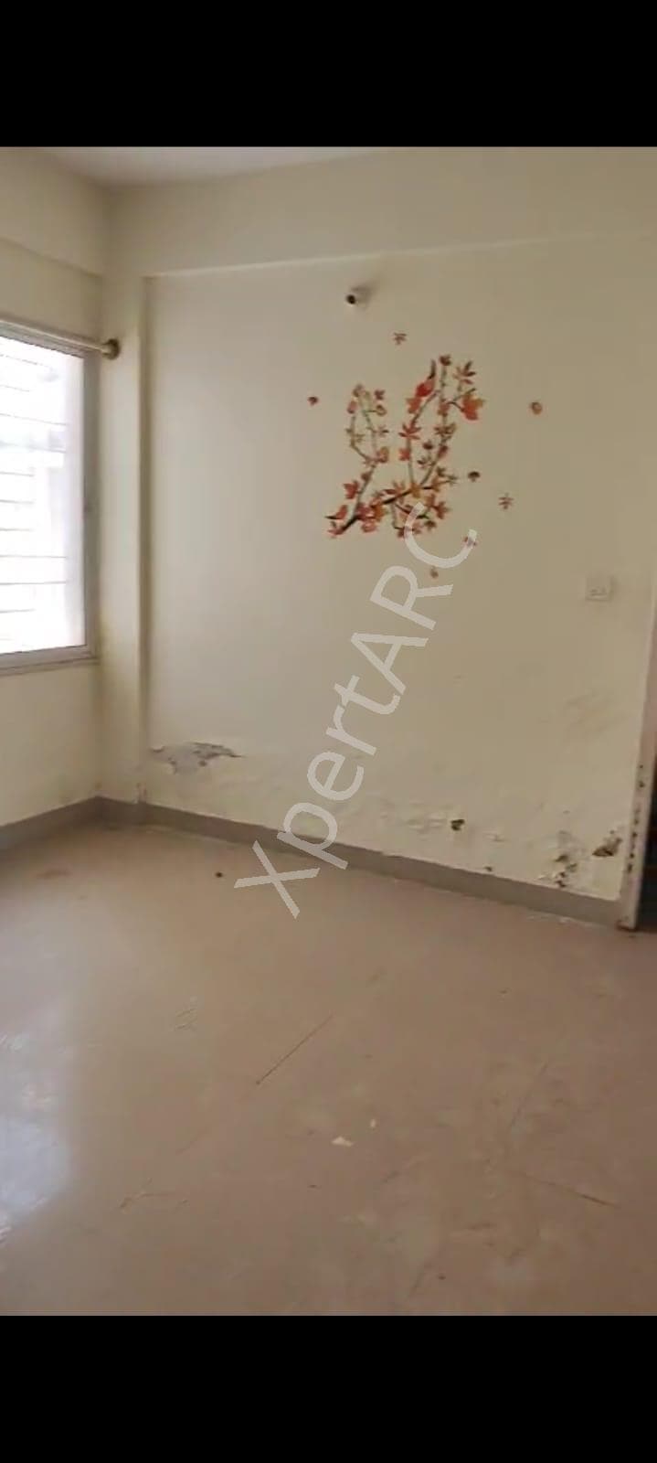 Property Photos 8