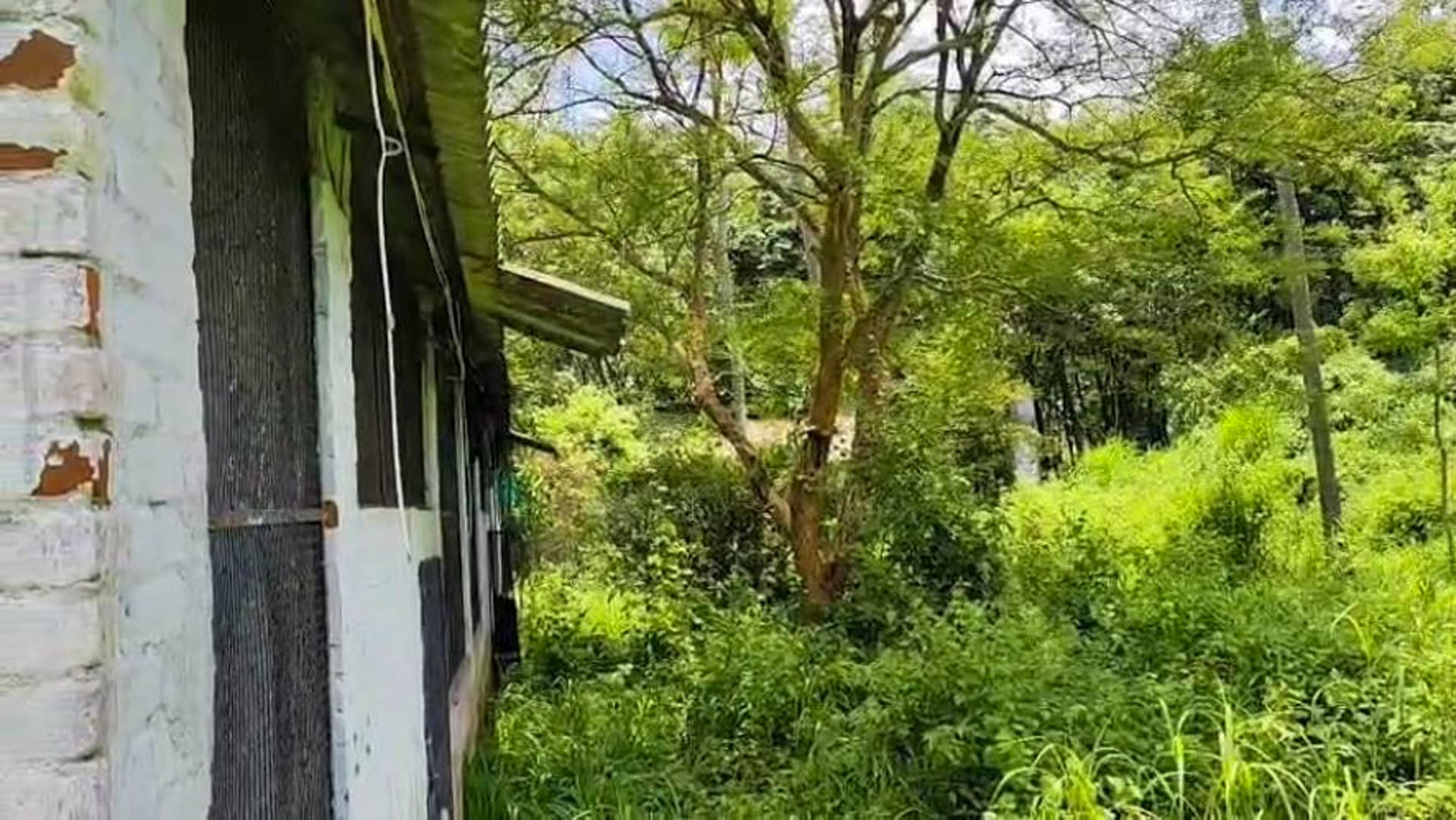 Property Photos 3