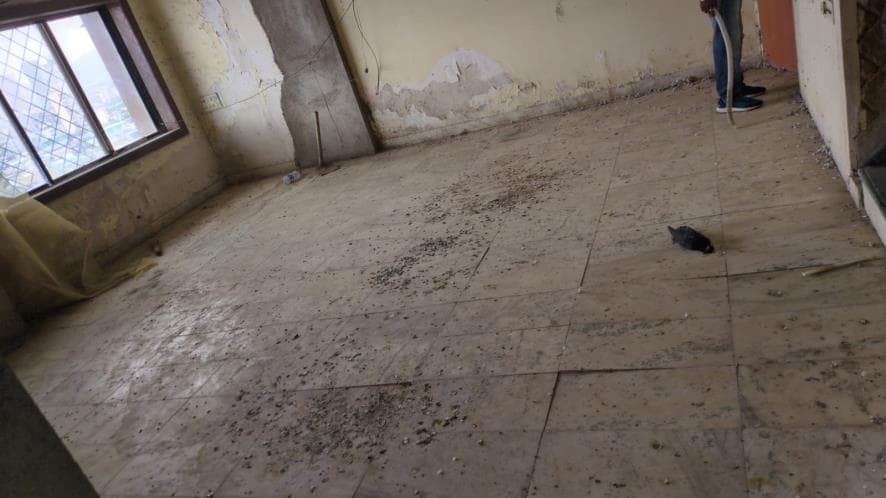 Property Photos 2
