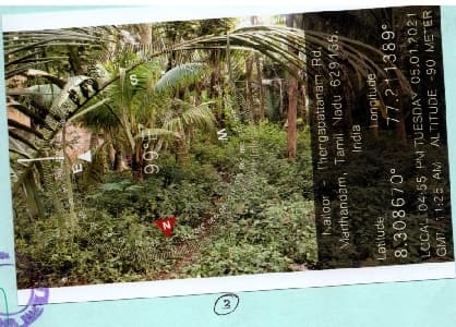 Property Photos 2
