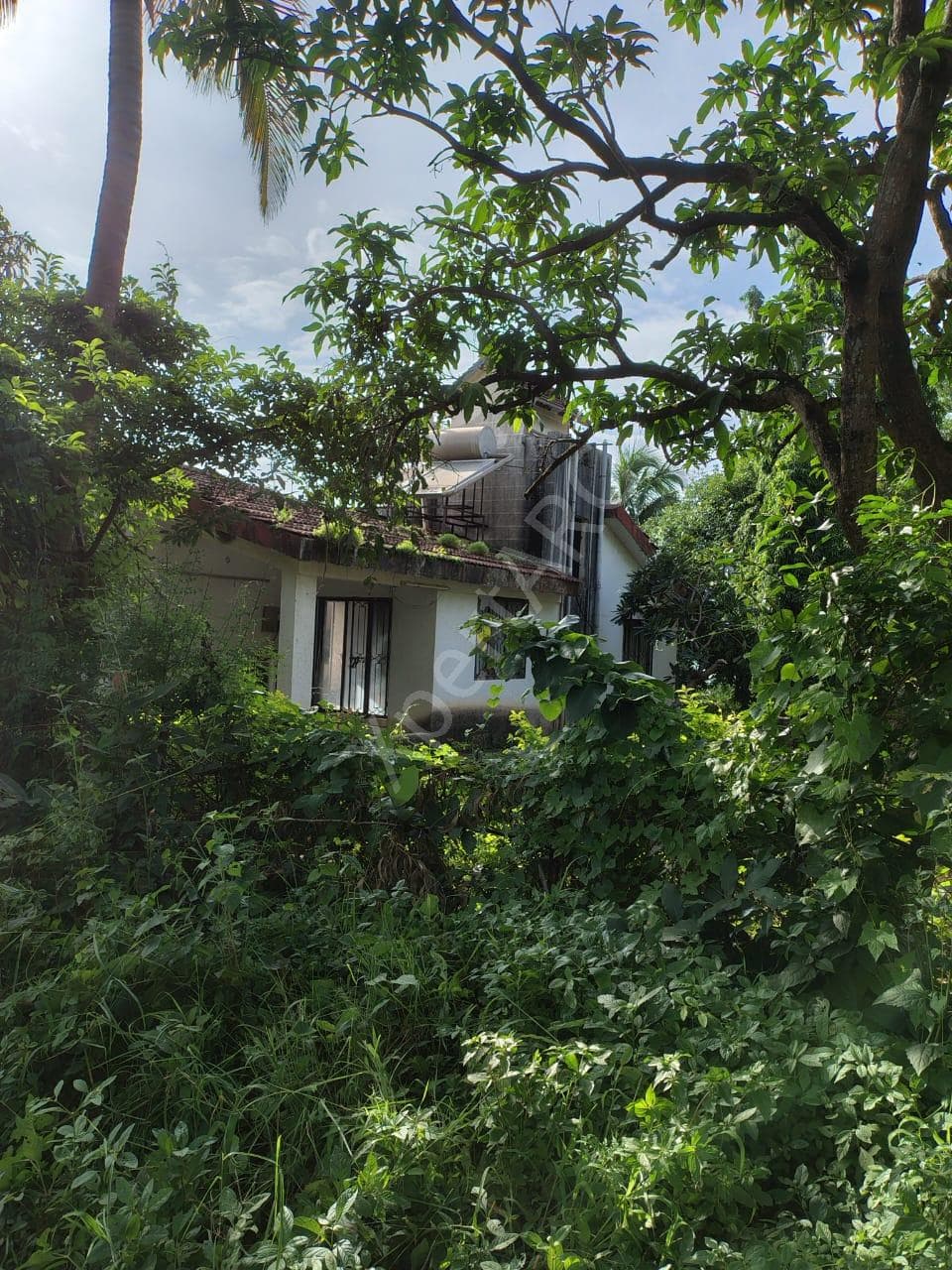 Property Photos 7