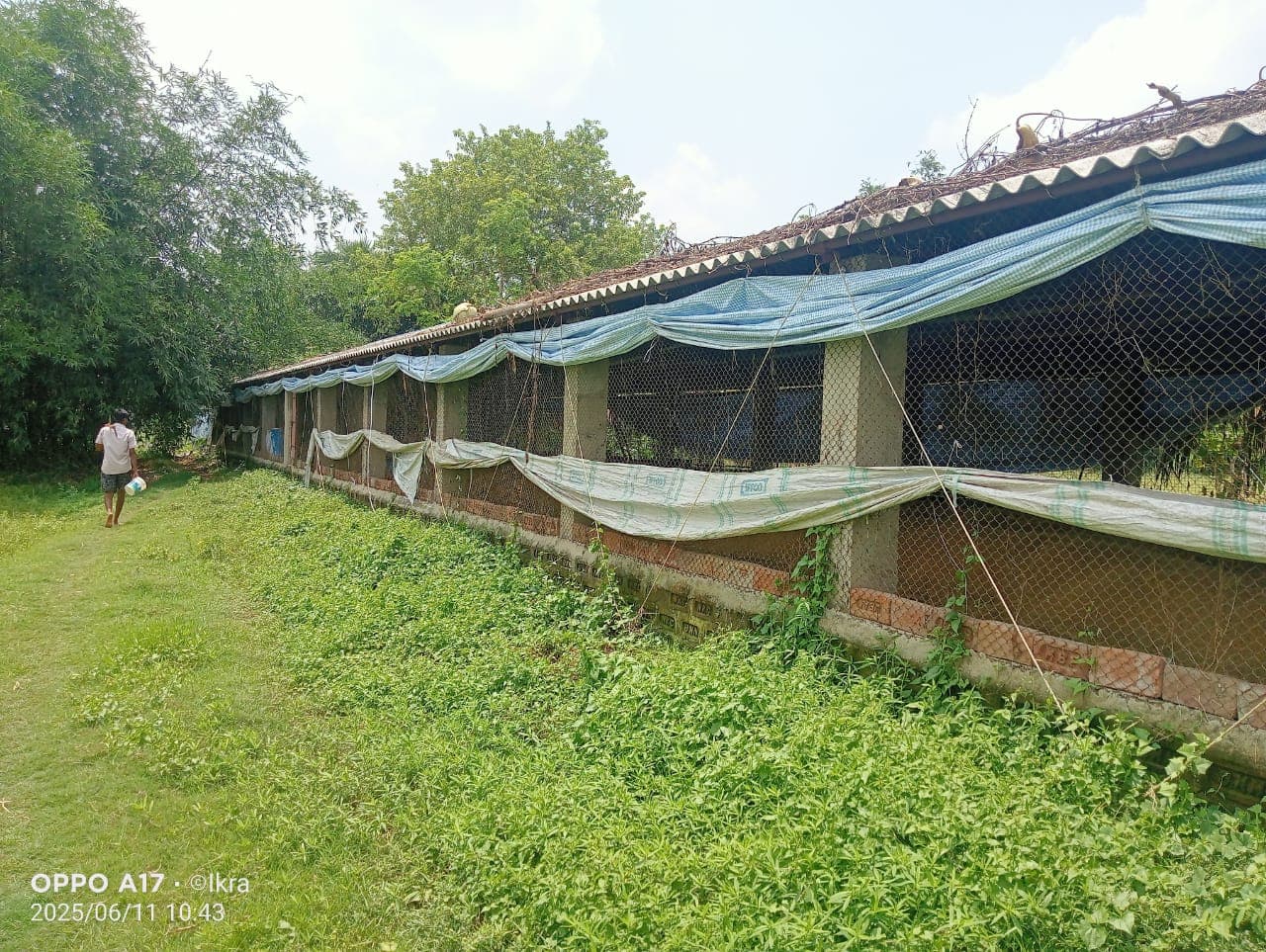 Property Photos 4