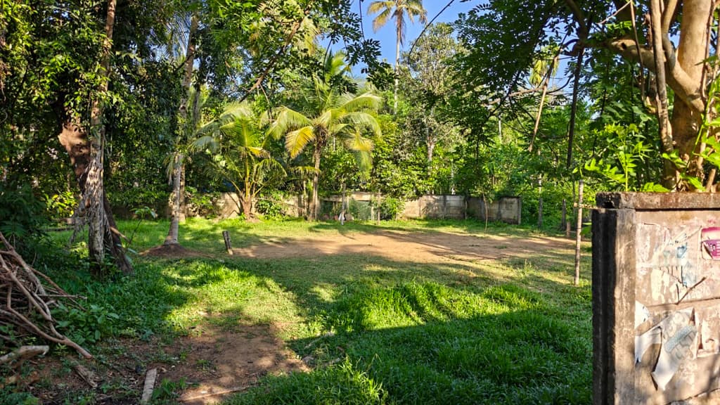 Property Photos 3