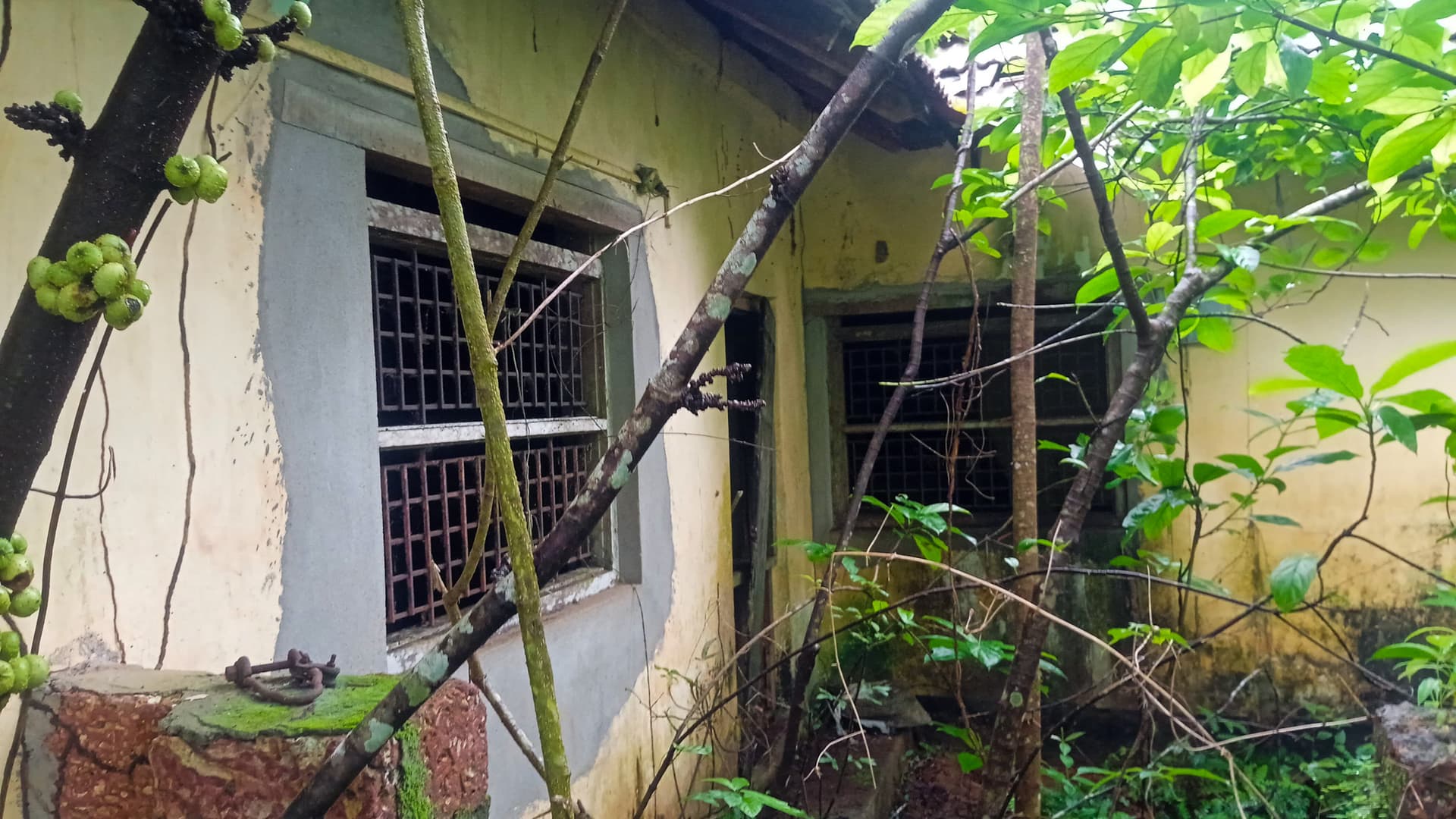 Property Photos 9
