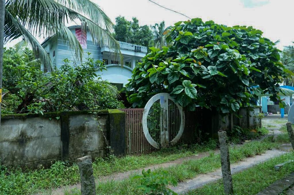 Property Photos 4