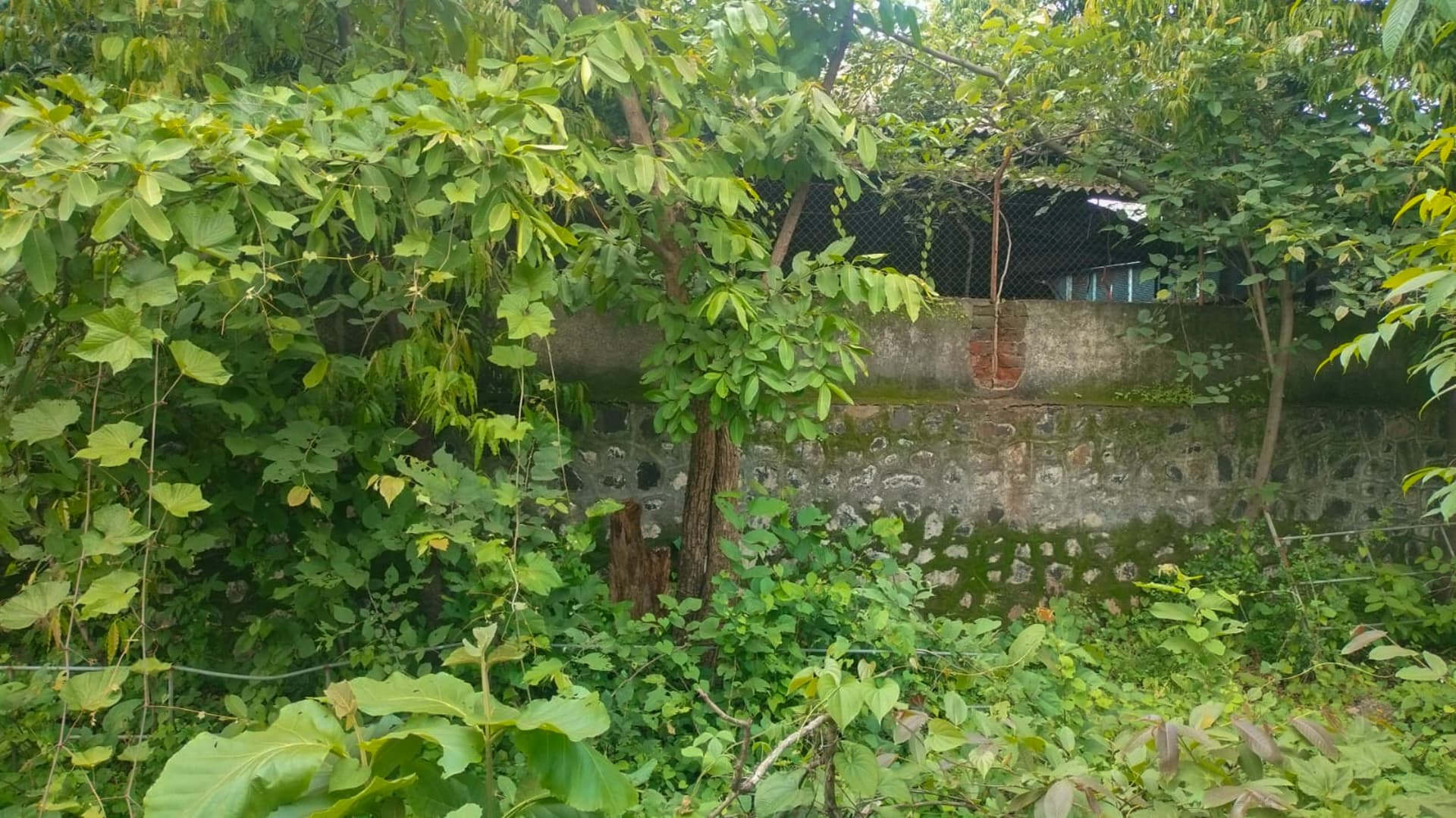 Property Photos 3