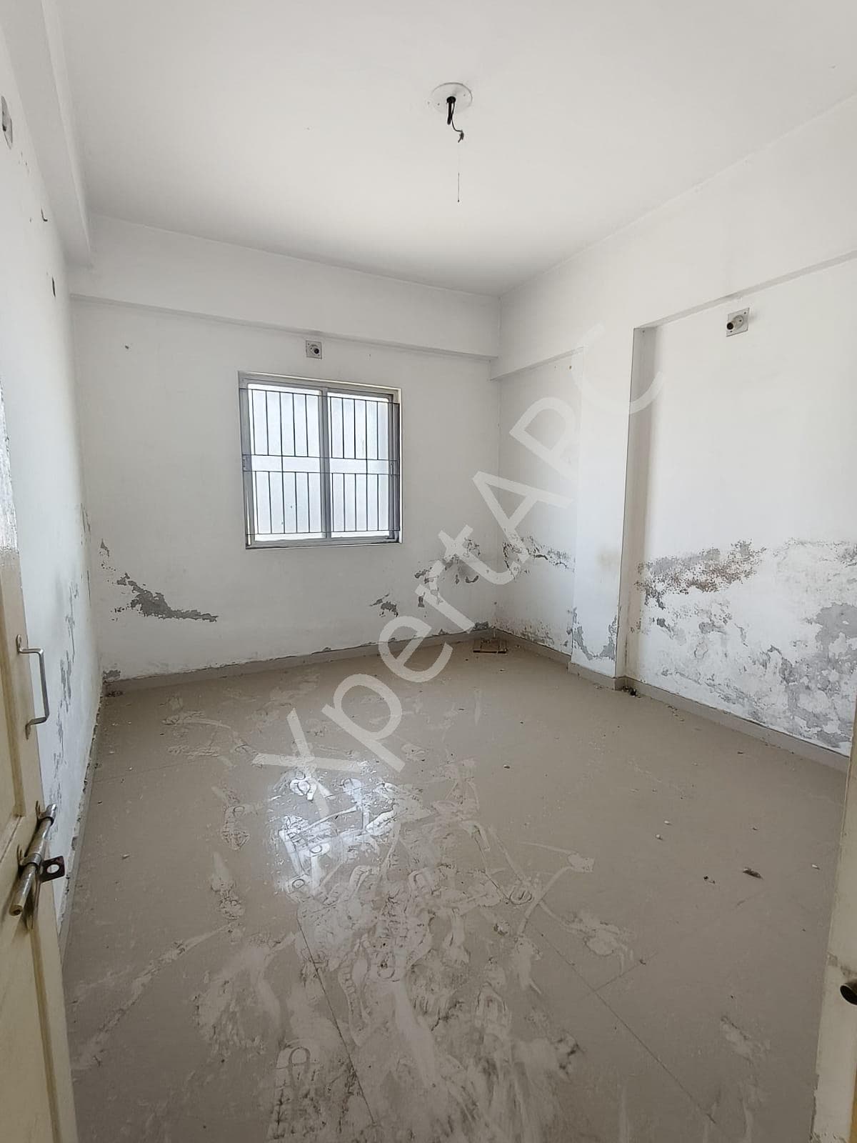 Property Photos 17