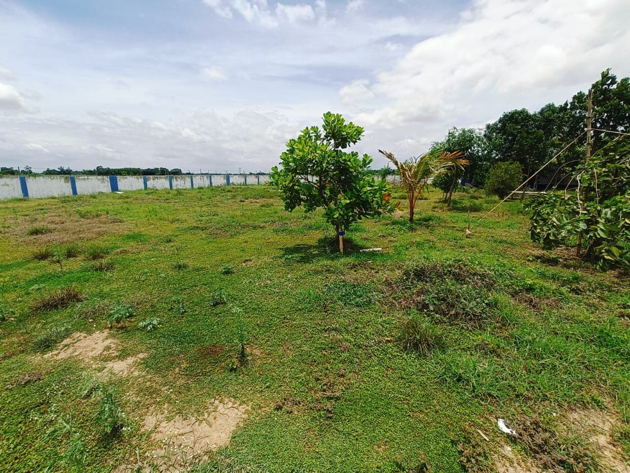 Property Photos 6