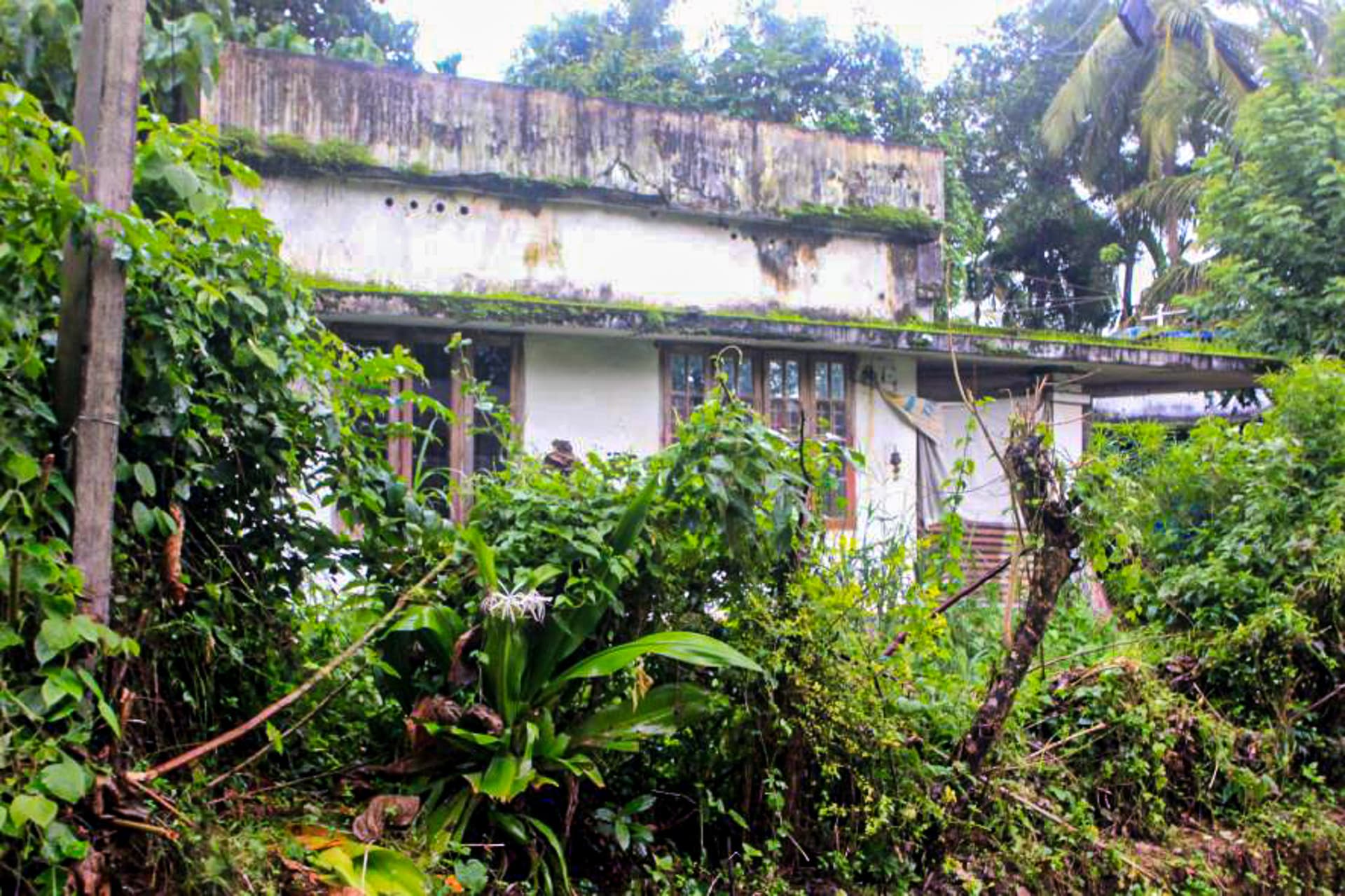Property Photos 19