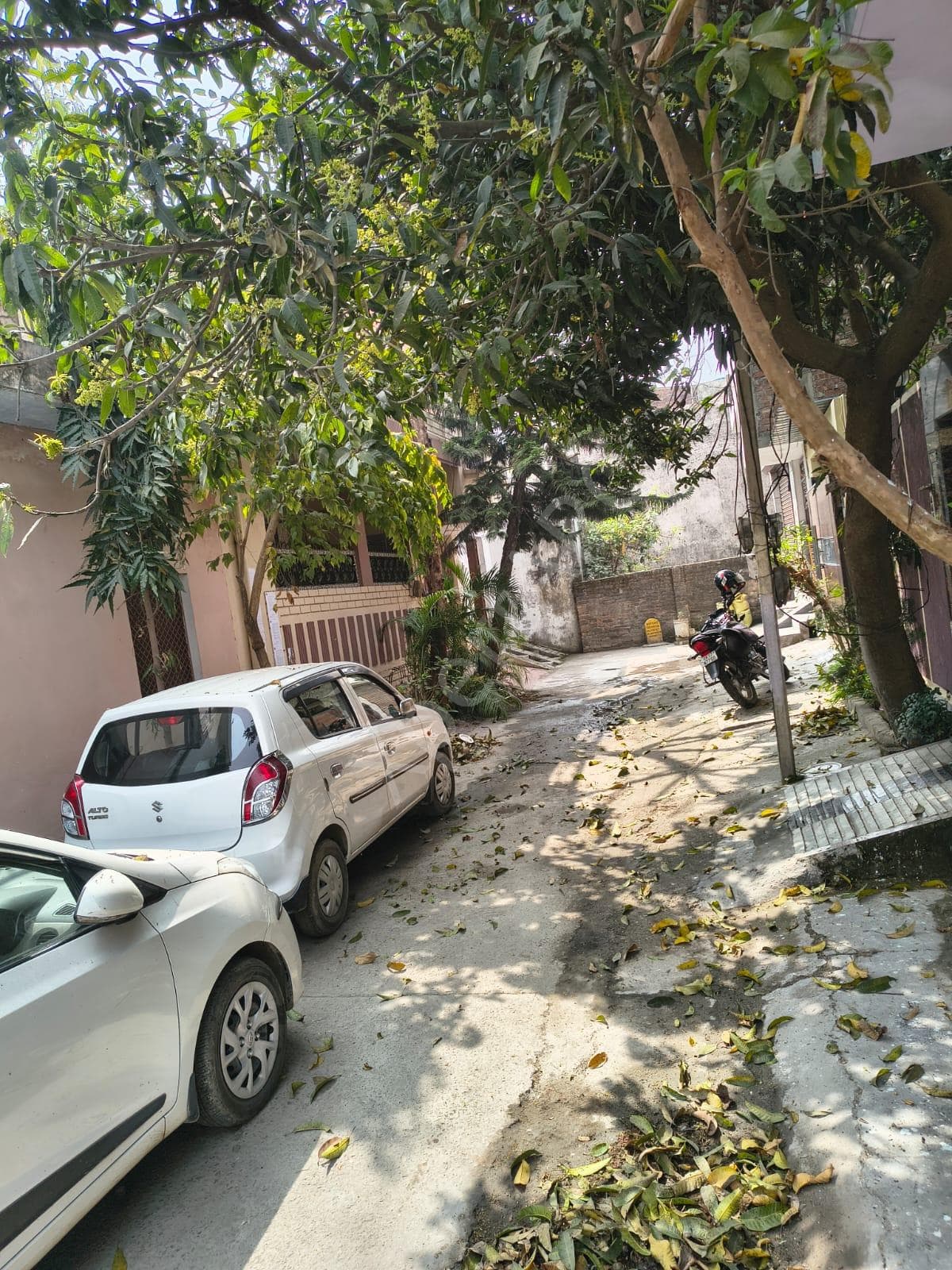 Property Photos 7
