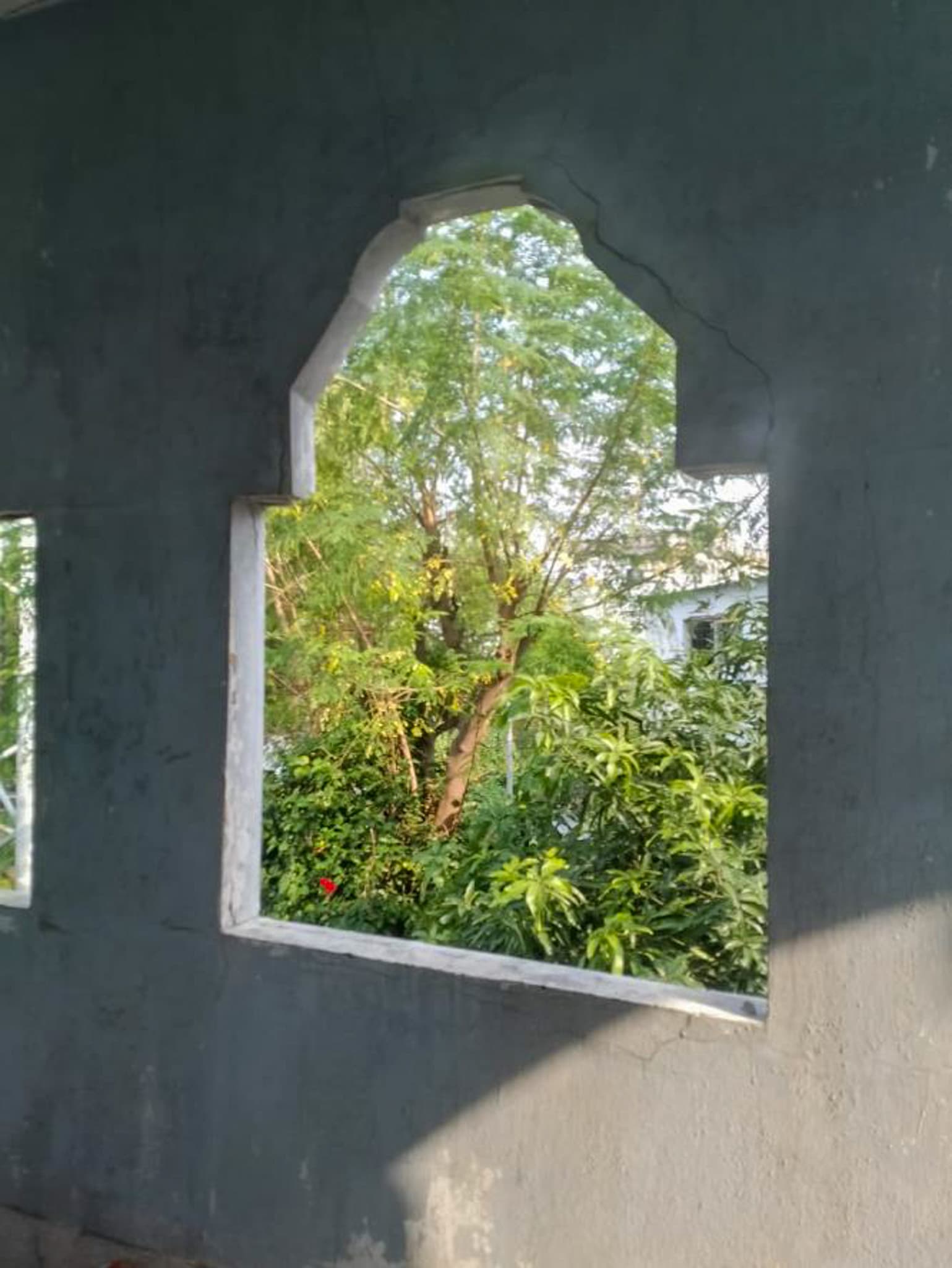 Property Photos 47