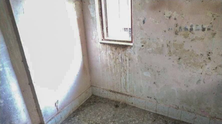 Property Photos 18