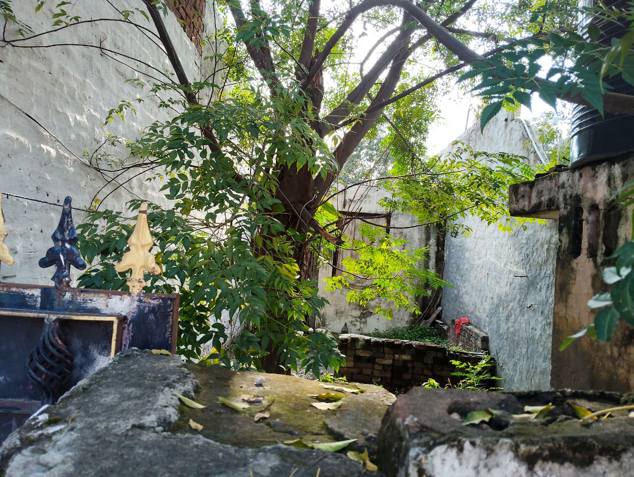 Property Photos 5