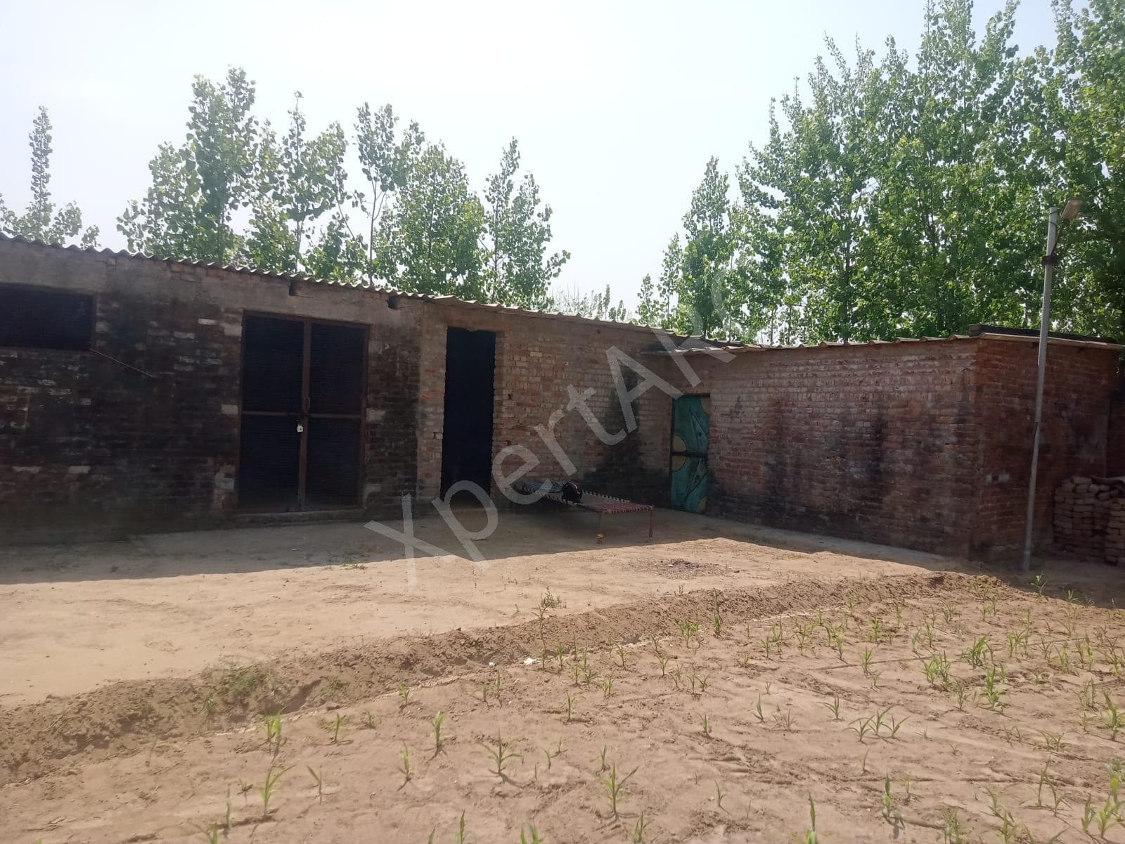 Property Photos 9