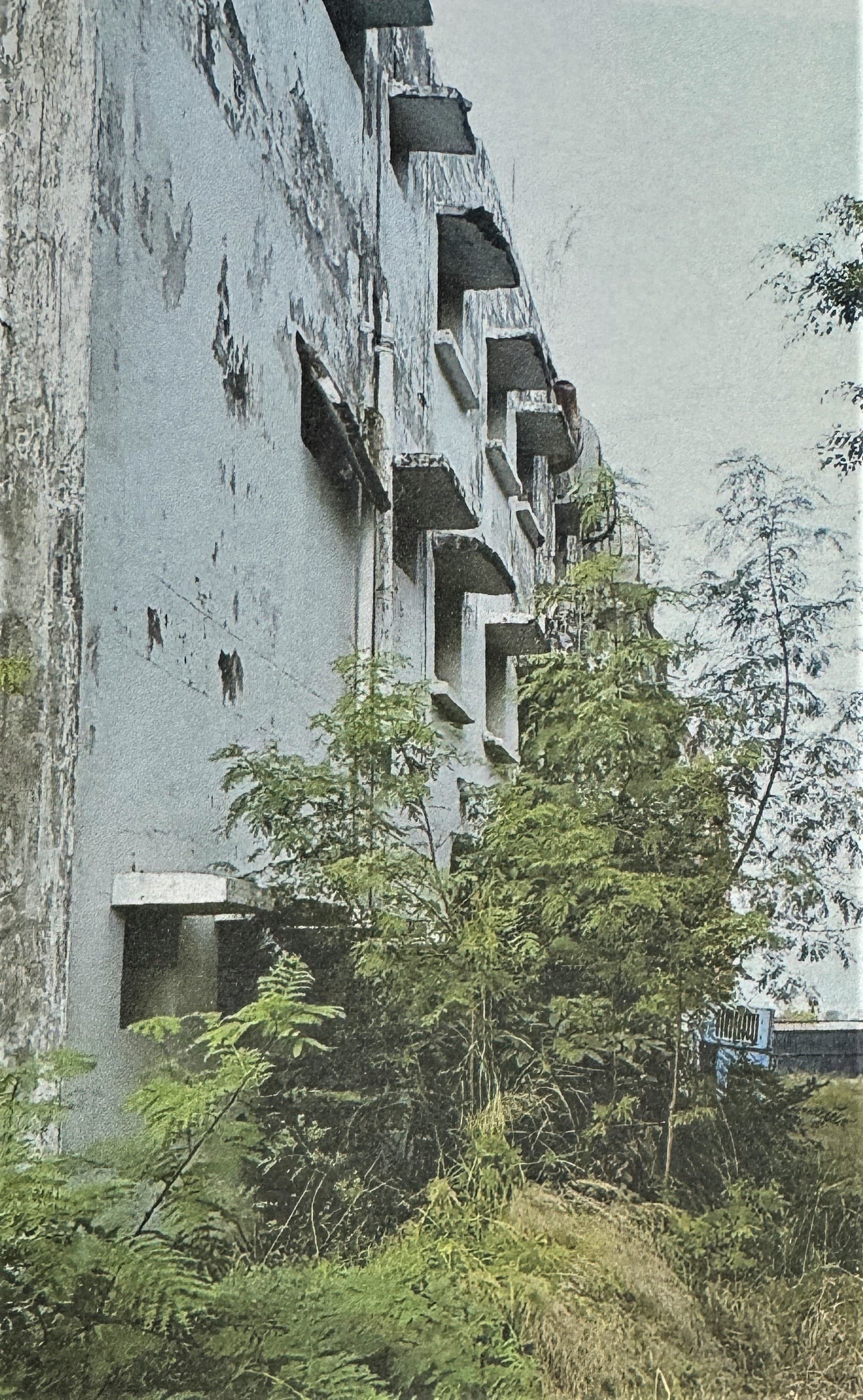 Property Photos 4