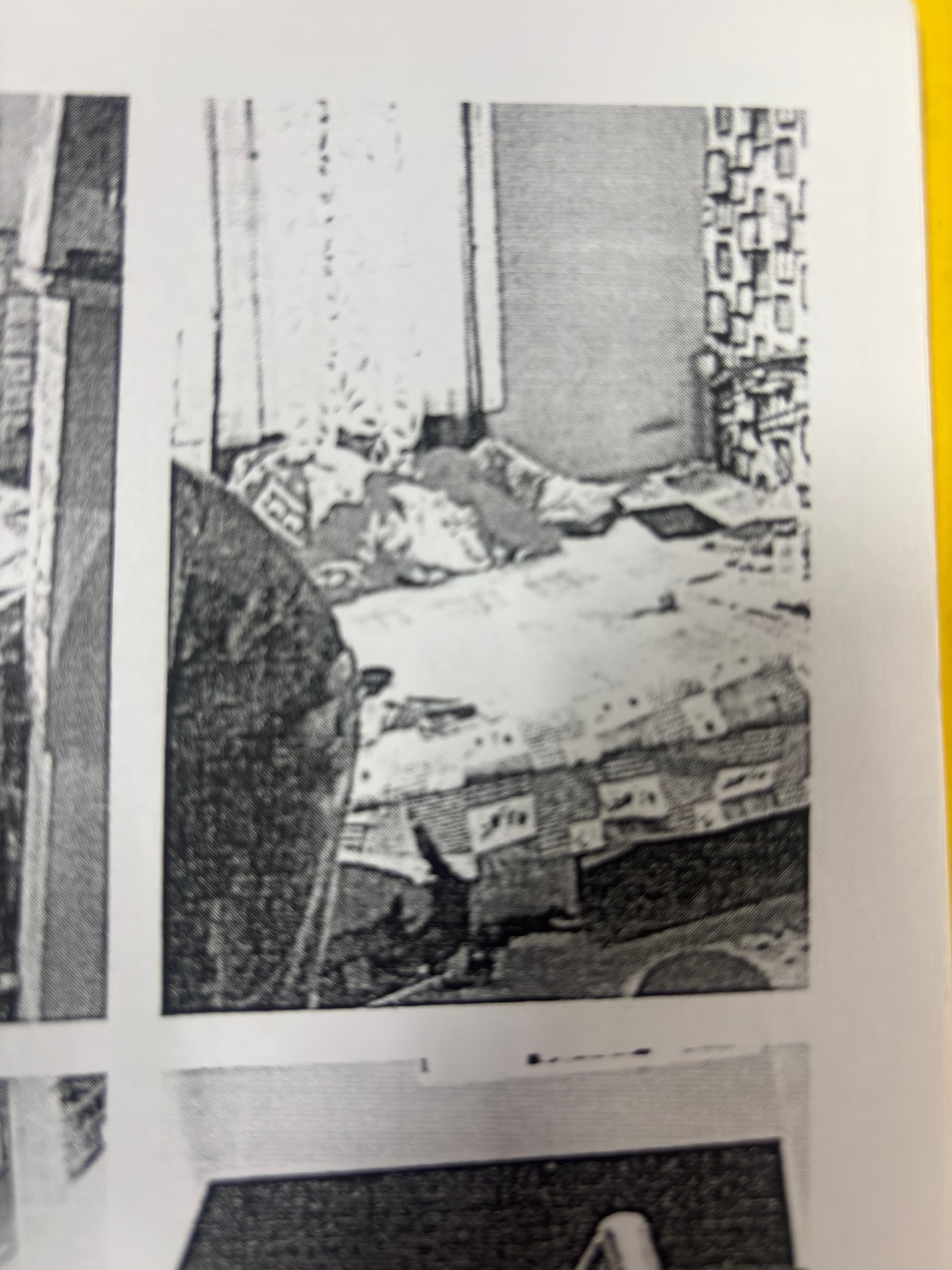 Property Photos 2