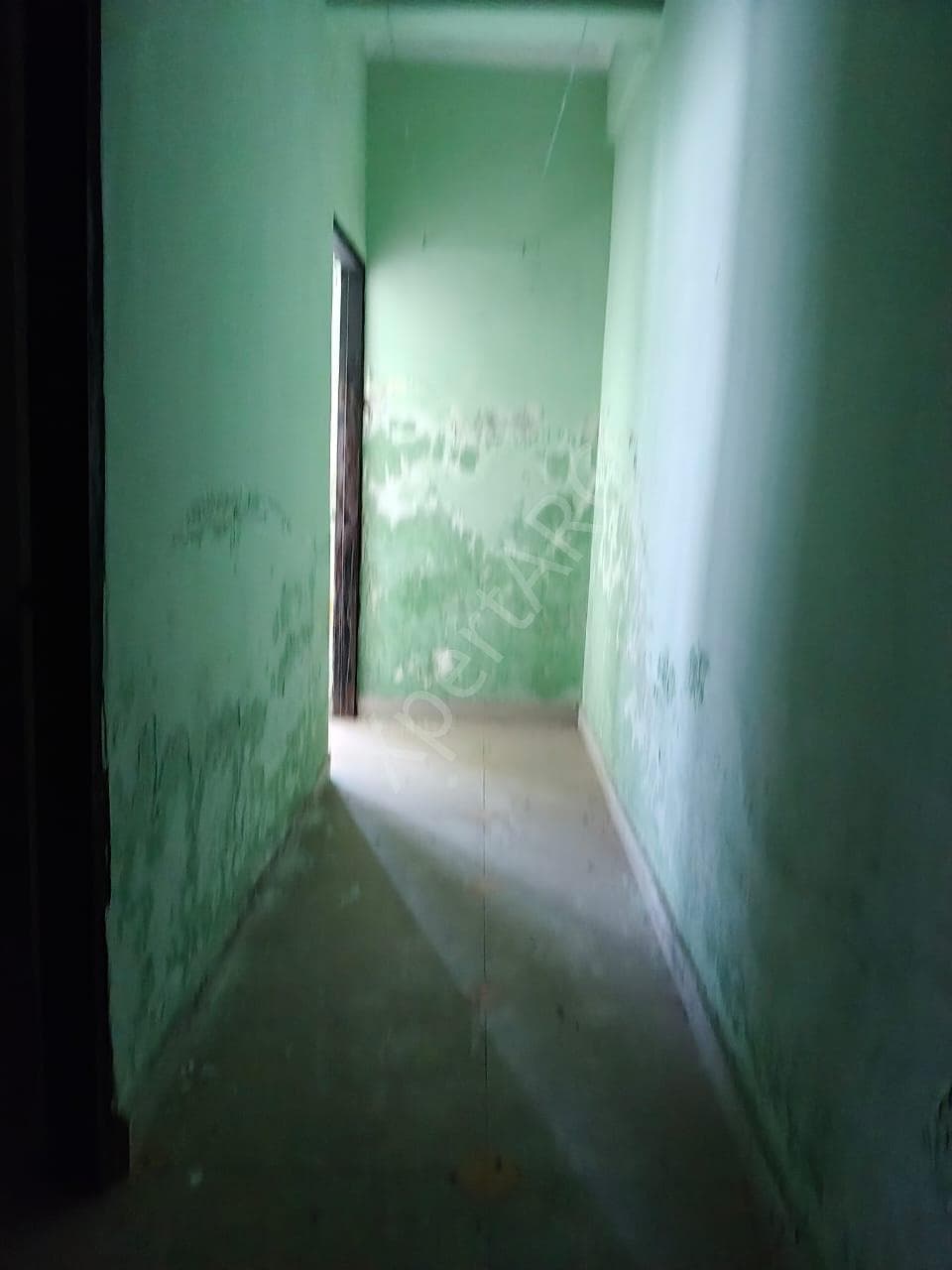 Property Photos 17