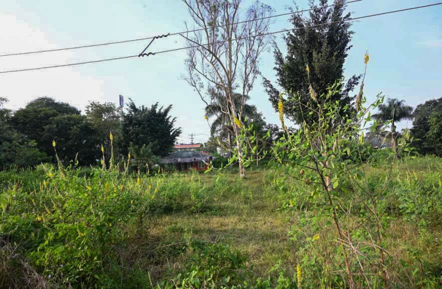 Property Photos 6