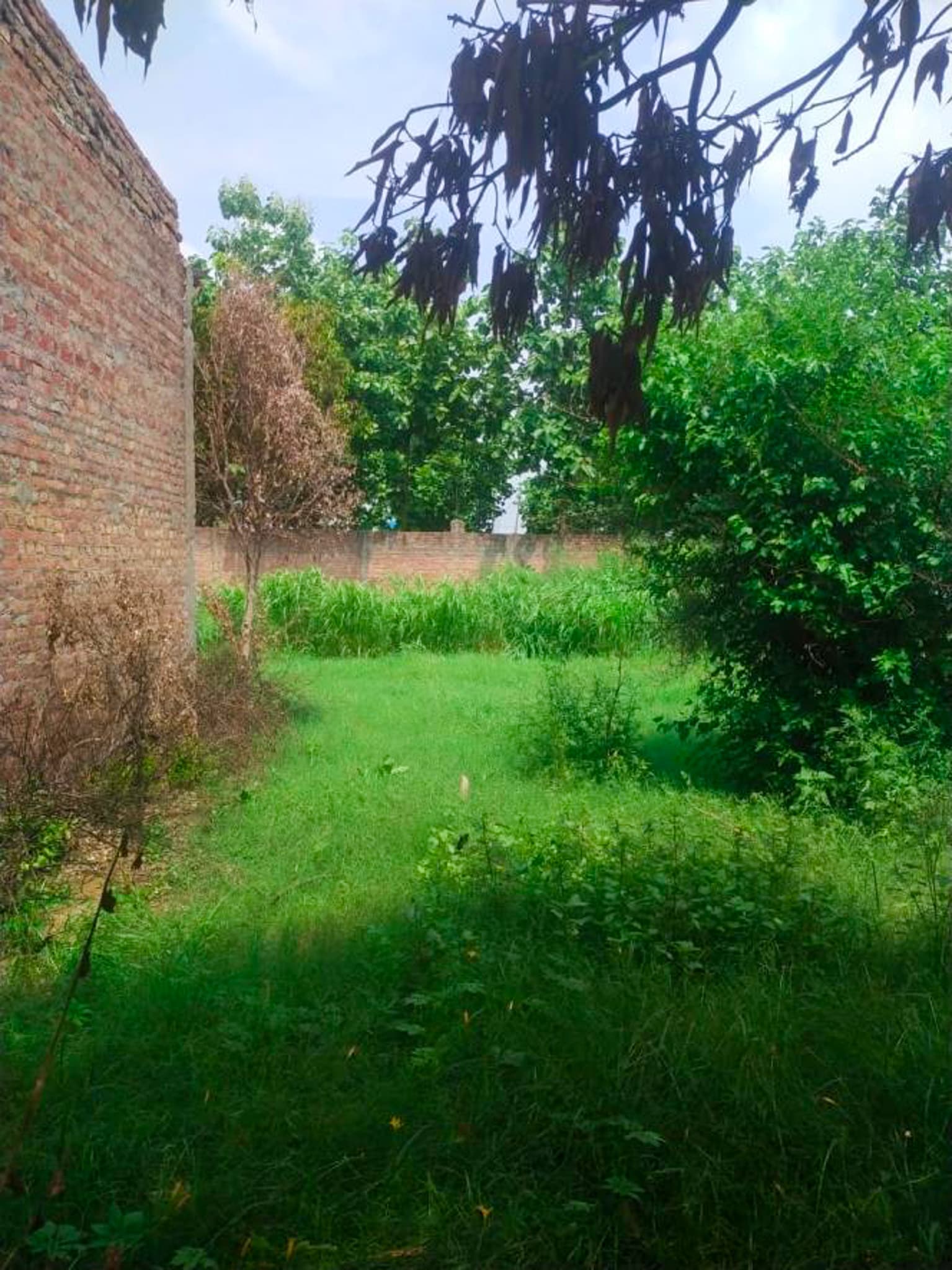 Property Photos 7