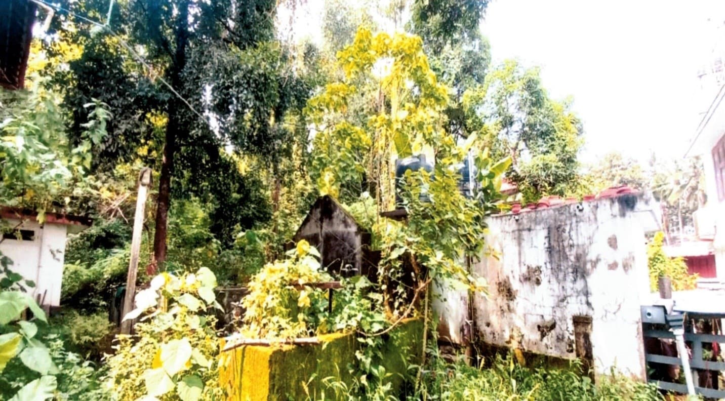 Property Photos 5