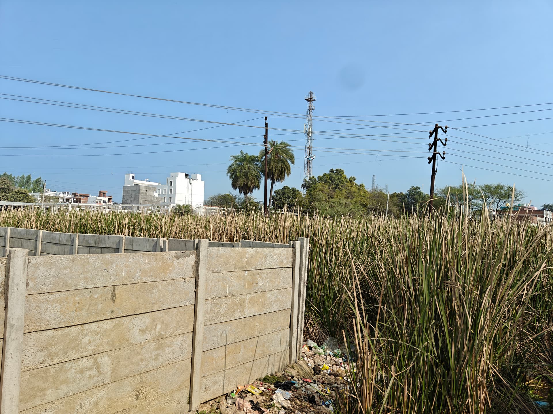 Property Photos 2