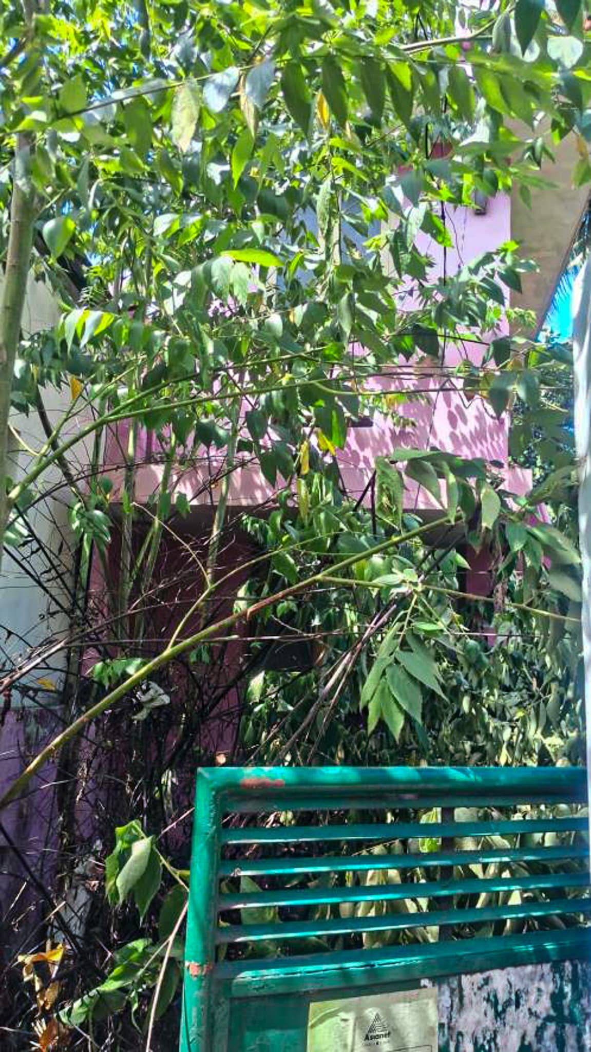 Property Photos 9