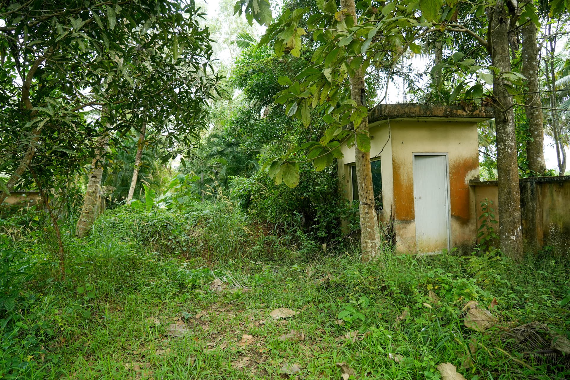 Property Photos 8