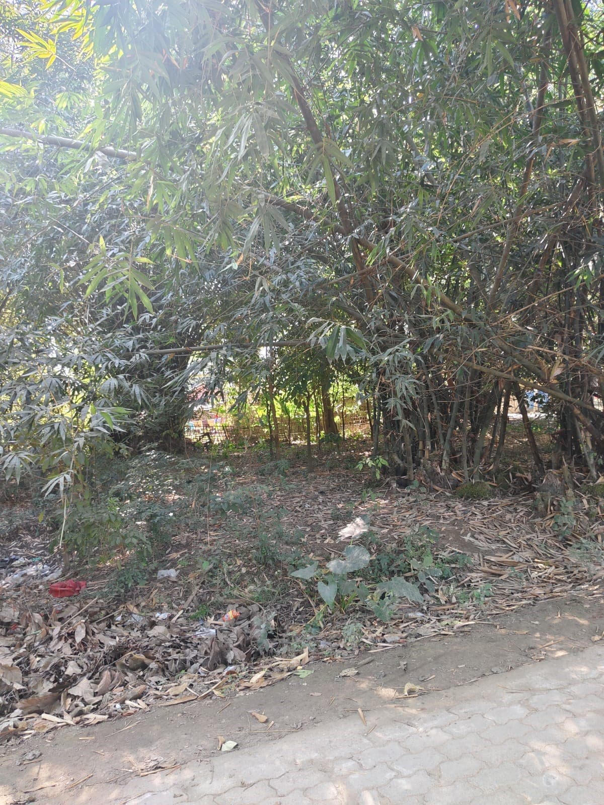 Property Photos 2