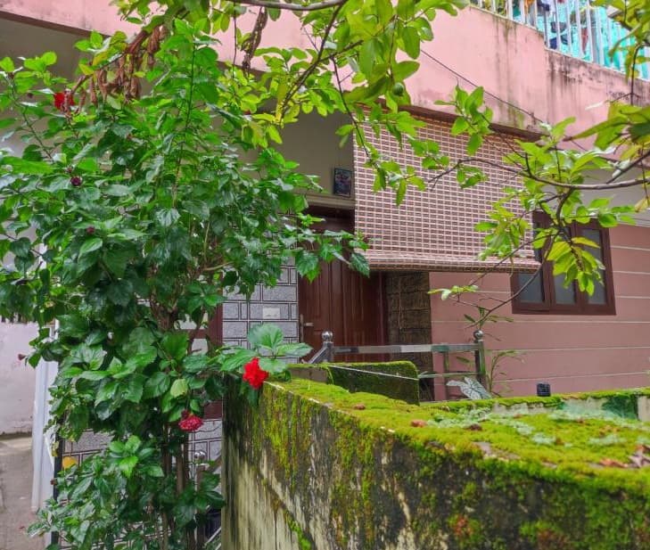 Property Photos 2